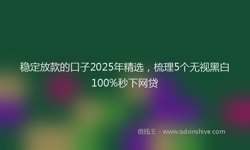 稳定放款的口子2025年精选，梳理5个无视黑白100%秒下网贷