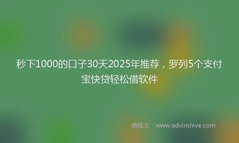 秒下1000的口子30天2025年推荐，罗列5个支付宝快贷轻松借软件