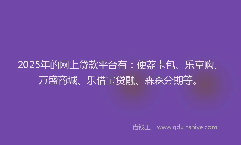 2025年的网上贷款平台有：便荔卡包、乐享购、万盛商城、乐借宝贷融、森森分期等。