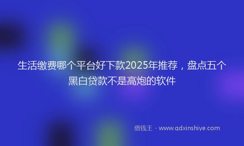 生活缴费哪个平台好下款2025年推荐，盘点五个黑白贷款不是高炮的软件