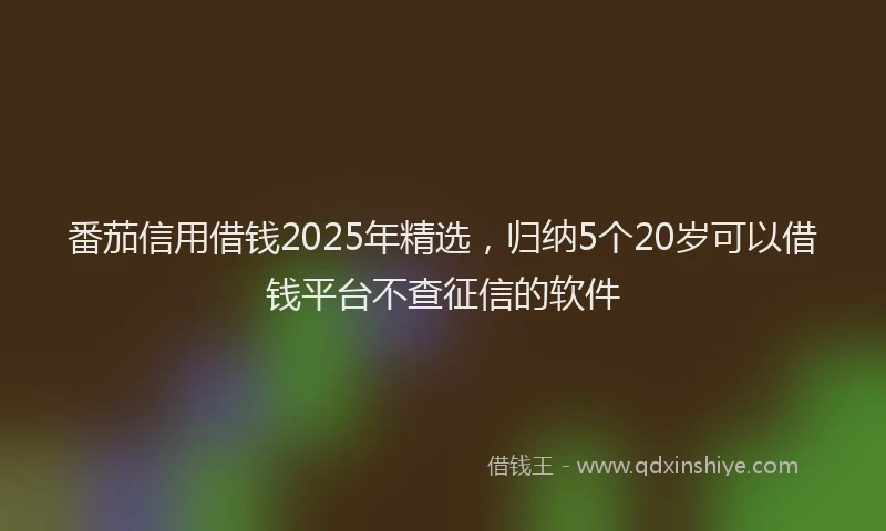 番茄信用借钱2025年精选，归纳5个20岁可以借钱平台不查征信的软件