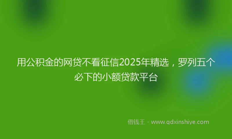 用公积金的网贷不看征信2025年精选，罗列五个必下的小额贷款平台