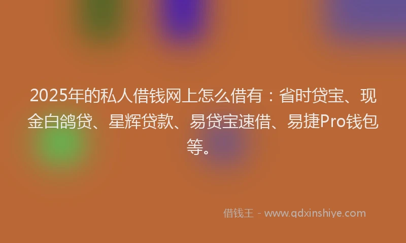 2025年的私人借钱网上怎么借有：省时贷宝、现金白鸽贷、星辉贷款、易贷宝速借、易捷Pro钱包等。
