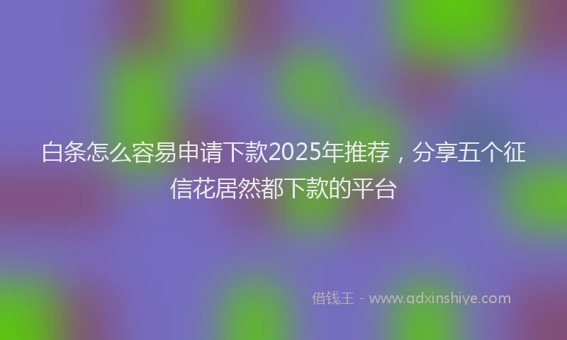 白条怎么容易申请下款2025年推荐，分享五个征信花居然都下款的平台