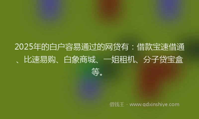 2025年的白户容易通过的网贷有：借款宝速借通、比速易购、白象商城、一姐租机、分子贷宝盒等。