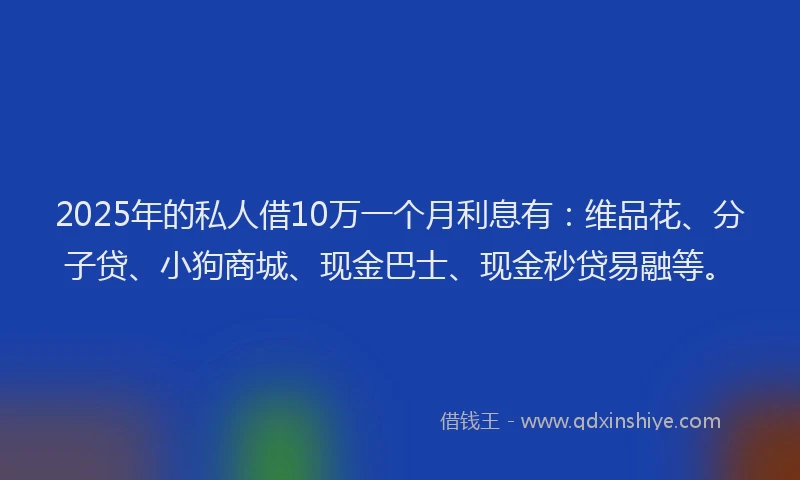 2025年的私人借10万一个月利息有：维品花、分子贷、小狗商城、现金巴士、现金秒贷易融等。