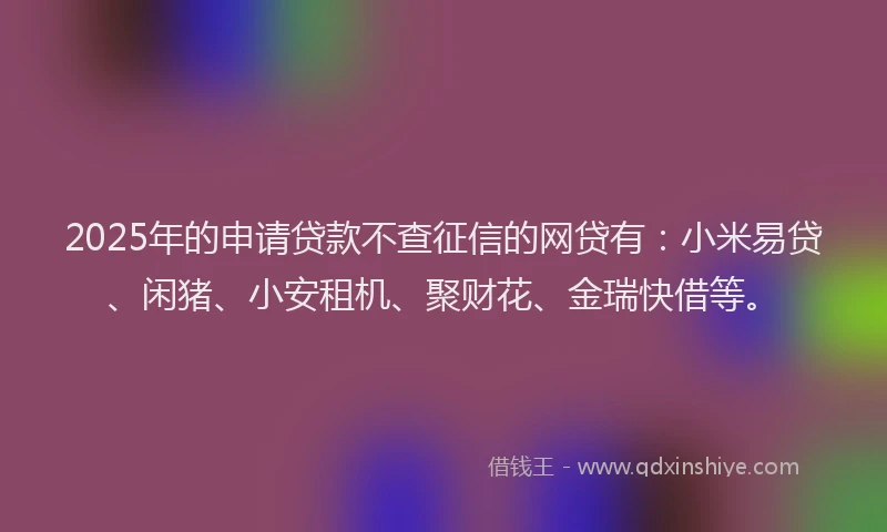 2025年的申请贷款不查征信的网贷有：小米易贷、闲猪、小安租机、聚财花、金瑞快借等。