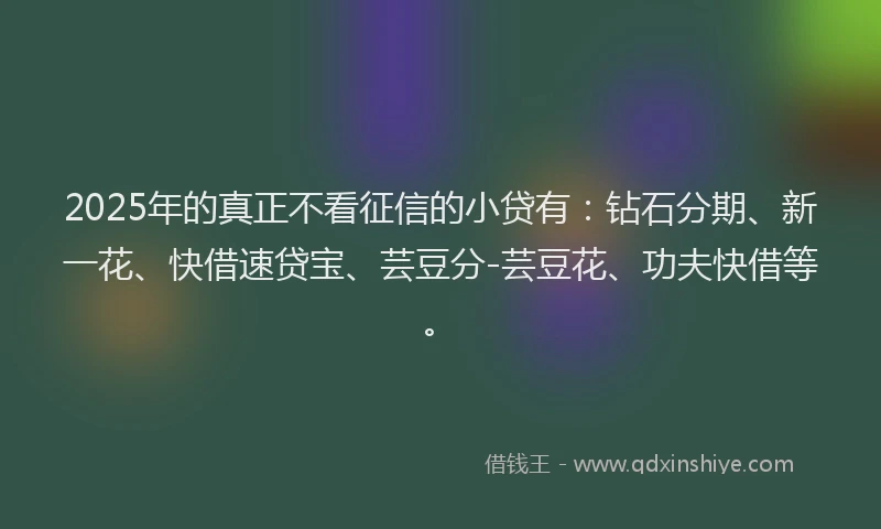 2025年的真正不看征信的小贷有：钻石分期、新一花、快借速贷宝、芸豆分-芸豆花、功夫快借等。