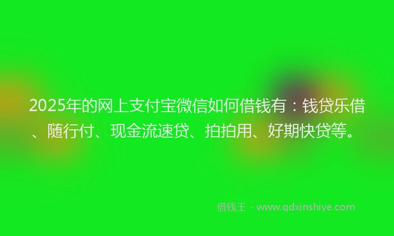 2025年的网上支付宝微信如何借钱有：钱贷乐借、随行付、现金流速贷、拍拍用、好期快贷等。