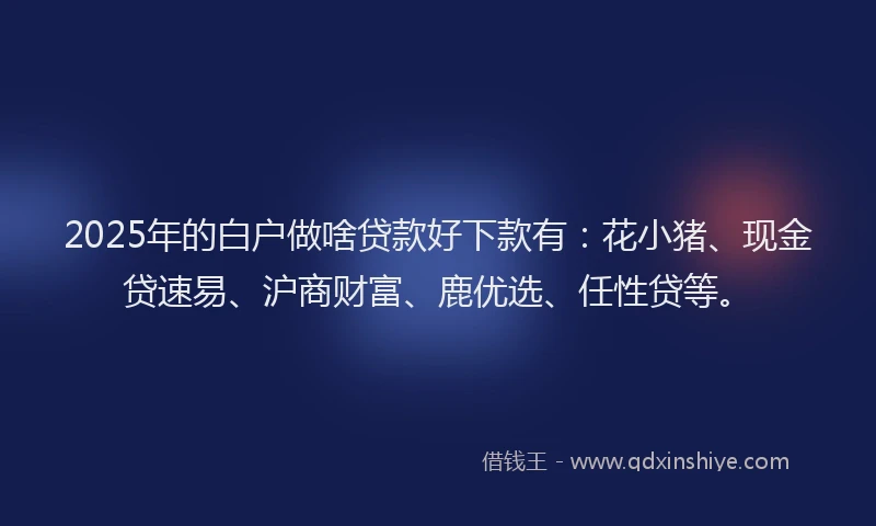2025年的白户做啥贷款好下款有：花小猪、现金贷速易、沪商财富、鹿优选、任性贷等。