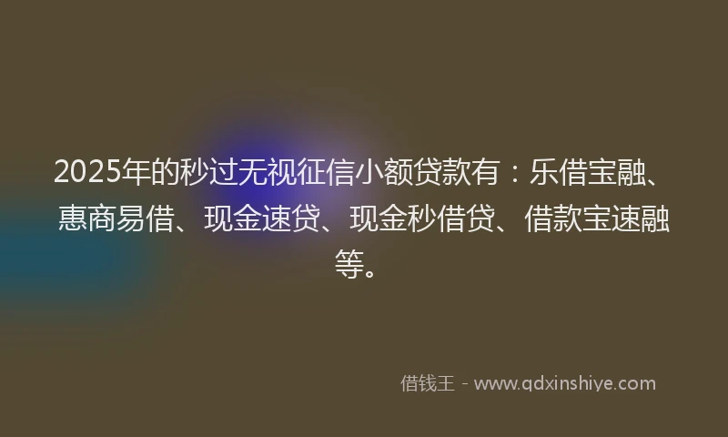 2025年的秒过无视征信小额贷款有：乐借宝融、惠商易借、现金速贷、现金秒借贷、借款宝速融等。