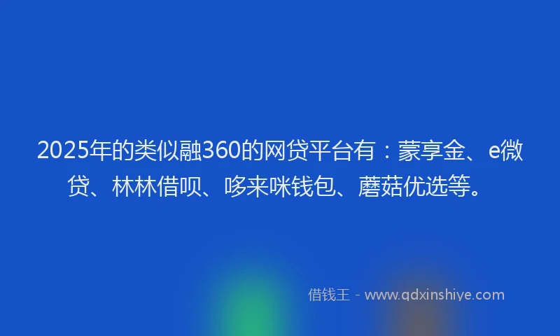 2025年的类似融360的网贷平台有：蒙享金、e微贷、林林借呗、哆来咪钱包、蘑菇优选等。