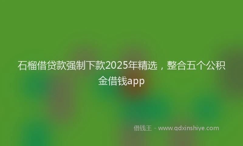 石榴借贷款强制下款2025年精选，整合五个公积金借钱app