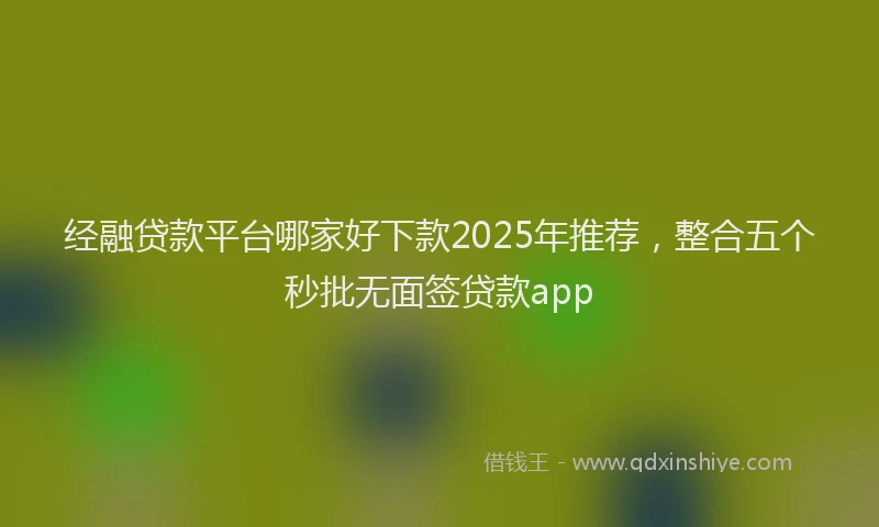 经融贷款平台哪家好下款2025年推荐，整合五个秒批无面签贷款app