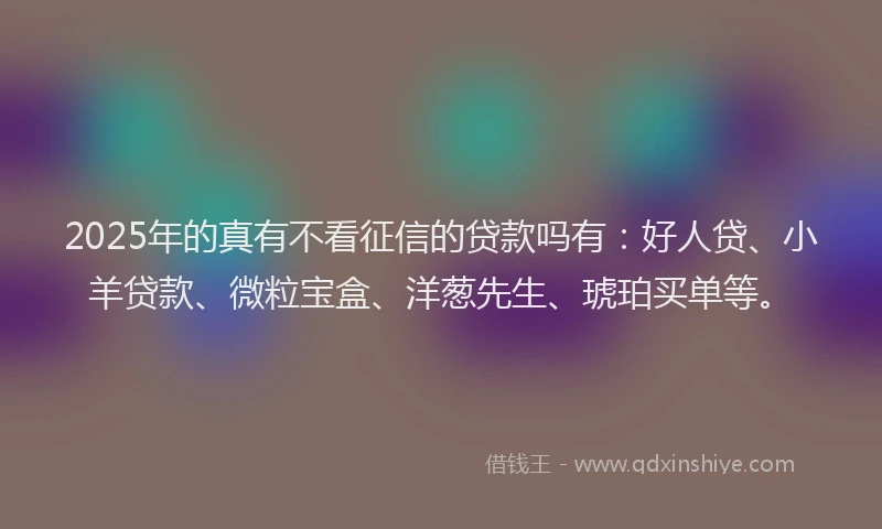 2025年的真有不看征信的贷款吗有：好人贷、小羊贷款、微粒宝盒、洋葱先生、琥珀买单等。