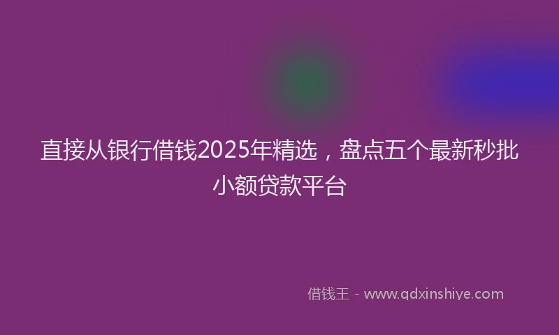 直接从银行借钱2025年精选，盘点五个最新秒批小额贷款平台
