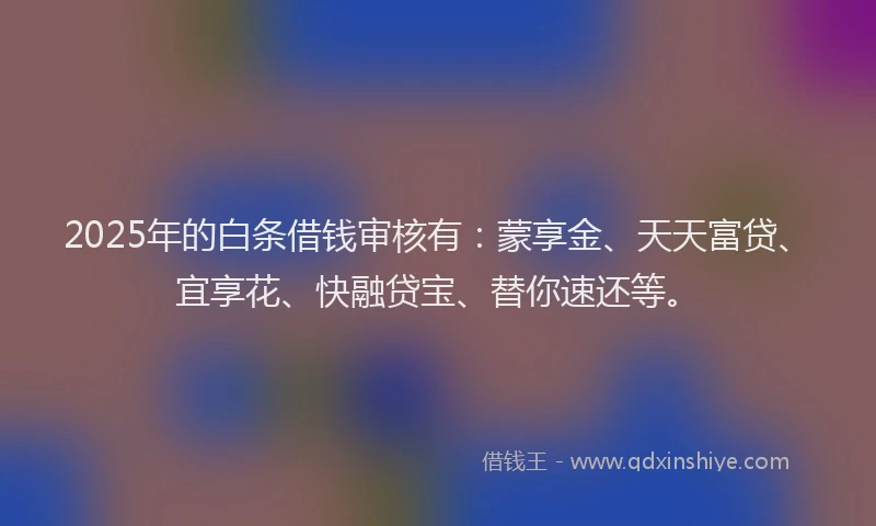 2025年的白条借钱审核有：蒙享金、天天富贷、宜享花、快融贷宝、替你速还等。