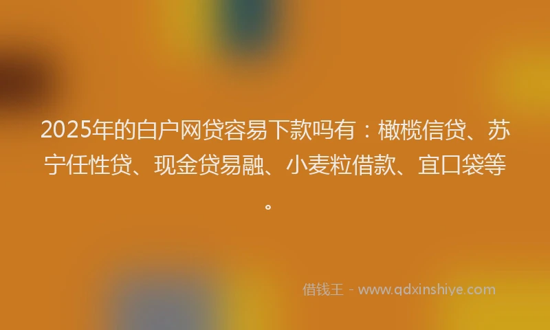 2025年的白户网贷容易下款吗有：橄榄信贷、苏宁任性贷、现金贷易融、小麦粒借款、宜口袋等。