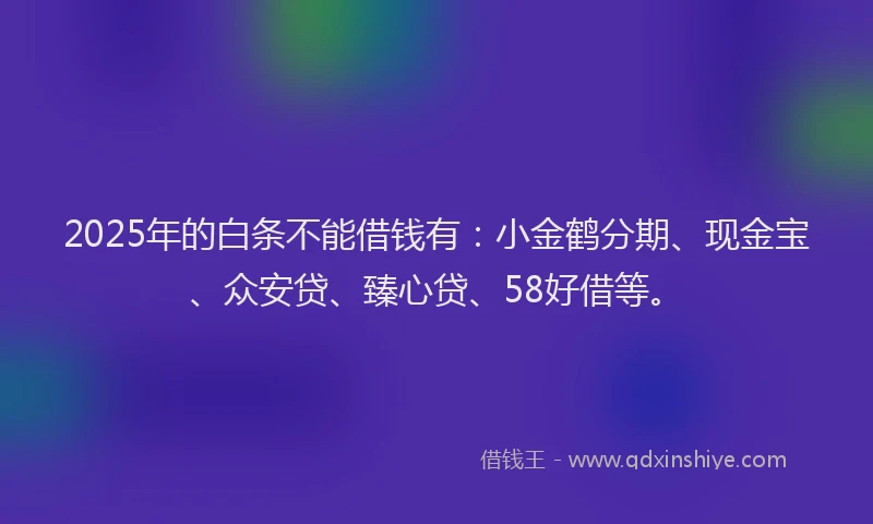 2025年的白条不能借钱有：小金鹤分期、现金宝、众安贷、臻心贷、58好借等。