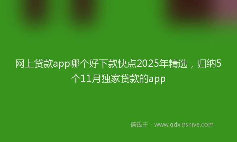 网上贷款app哪个好下款快点2025年精选，归纳5个11月独家贷款的app