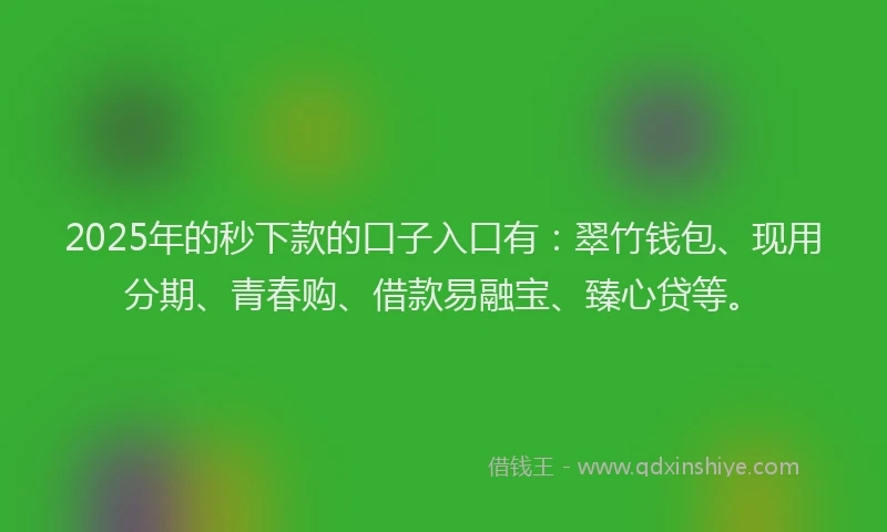2025年的秒下款的口子入口有：翠竹钱包、现用分期、青春购、借款易融宝、臻心贷等。