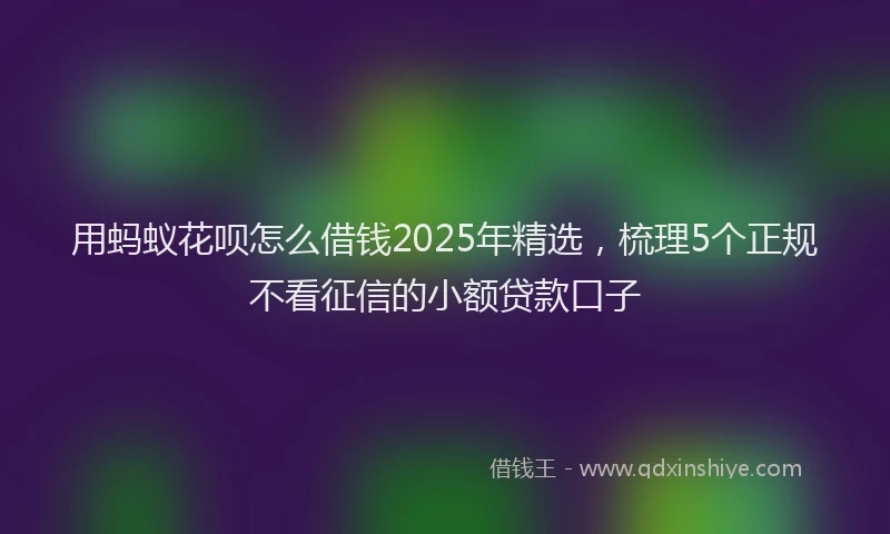 用蚂蚁花呗怎么借钱2025年精选，梳理5个正规不看征信的小额贷款口子