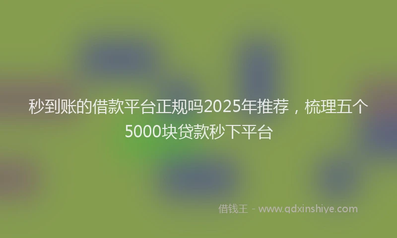 秒到账的借款平台正规吗2025年推荐，梳理五个5000块贷款秒下平台