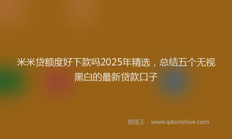 米米贷额度好下款吗2025年精选，总结五个无视黑白的最新贷款口子