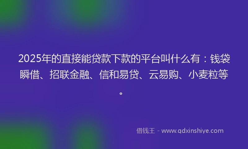 2025年的直接能贷款下款的平台叫什么有：钱袋瞬借、招联金融、信和易贷、云易购、小麦粒等。