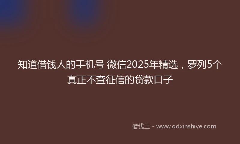 知道借钱人的手机号 微信2025年精选，罗列5个真正不查征信的贷款口子
