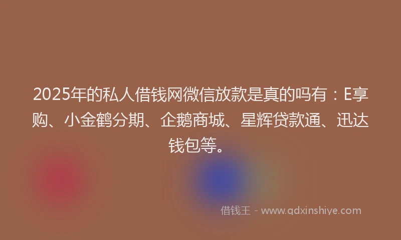 2025年的私人借钱网微信放款是真的吗有：E享购、小金鹤分期、企鹅商城、星辉贷款通、迅达钱包等。