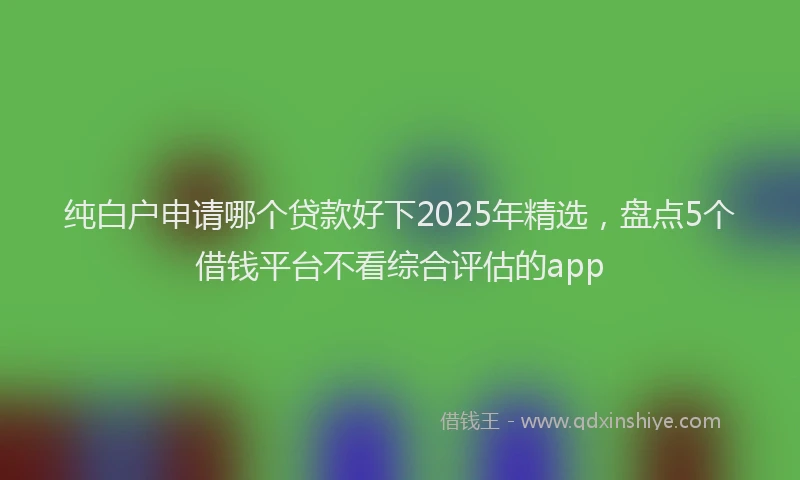纯白户申请哪个贷款好下2025年精选，盘点5个借钱平台不看综合评估的app