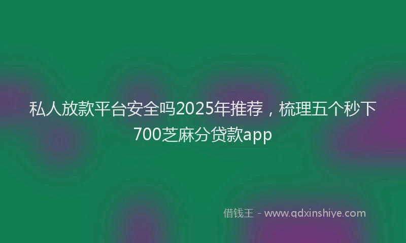 私人放款平台安全吗2025年推荐，梳理五个秒下700芝麻分贷款app