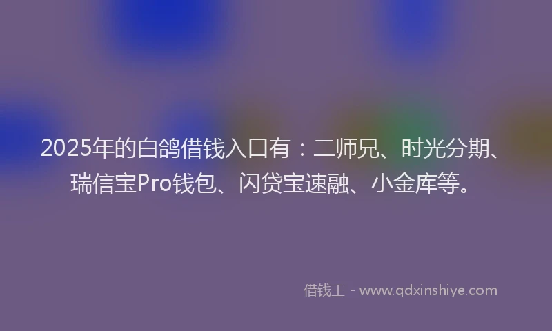 2025年的白鸽借钱入口有：二师兄、时光分期、瑞信宝Pro钱包、闪贷宝速融、小金库等。