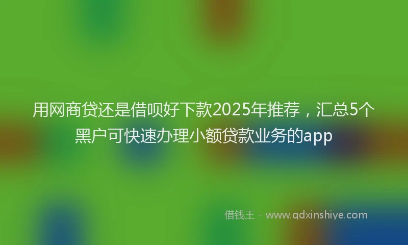 用网商贷还是借呗好下款2025年推荐，汇总5个黑户可快速办理小额贷款业务的app