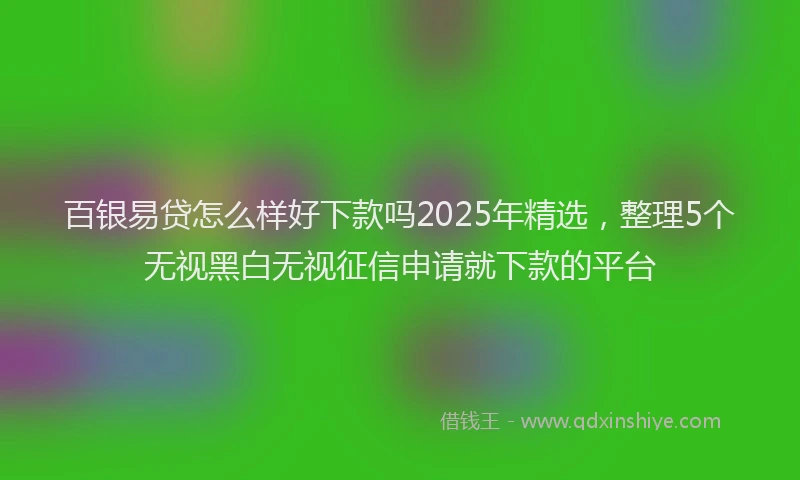 百银易贷怎么样好下款吗2025年精选，整理5个无视黑白无视征信申请就下款的平台