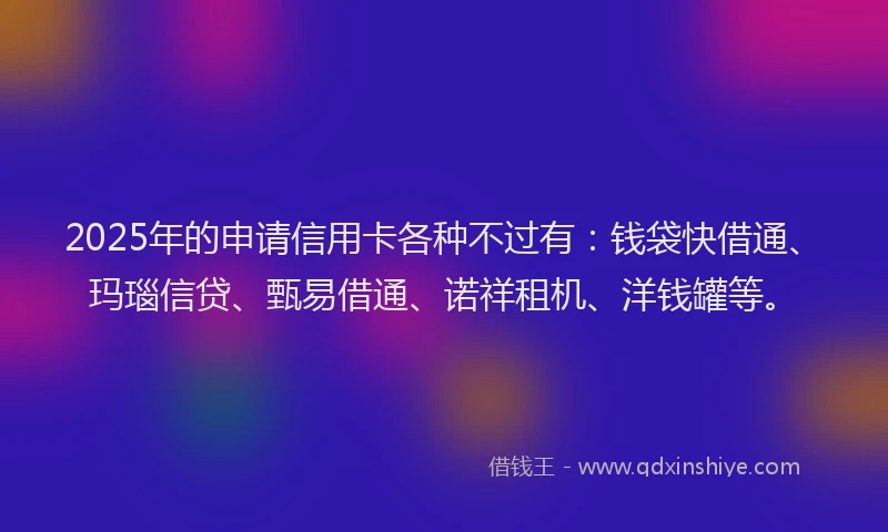 2025年的申请信用卡各种不过有：钱袋快借通、玛瑙信贷、甄易借通、诺祥租机、洋钱罐等。