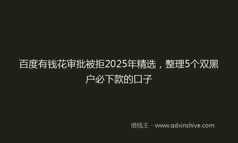 百度有钱花审批被拒2025年精选，整理5个双黑户必下款的口子