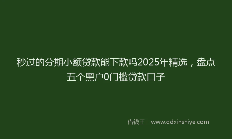 秒过的分期小额贷款能下款吗2025年精选，盘点五个黑户0门槛贷款口子
