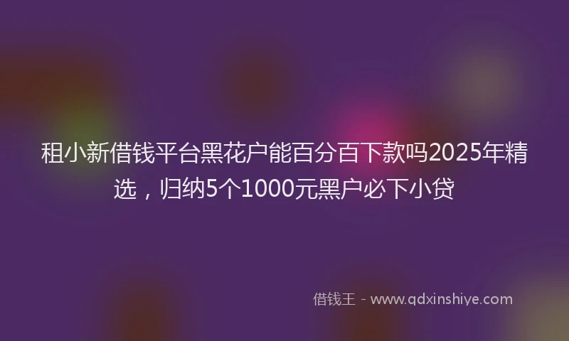 租小新借钱平台黑花户能百分百下款吗2025年精选，归纳5个1000元黑户必下小贷