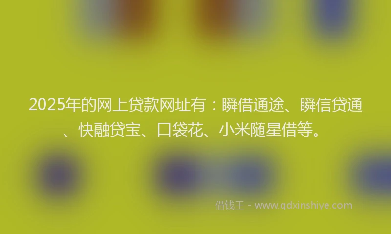 2025年的网上贷款网址有：瞬借通途、瞬信贷通、快融贷宝、口袋花、小米随星借等。
