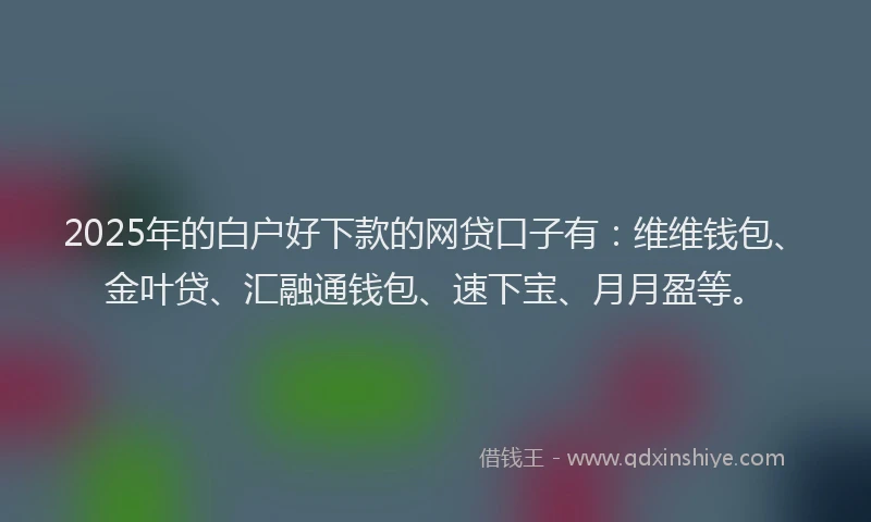 2025年的白户好下款的网贷口子有：维维钱包、金叶贷、汇融通钱包、速下宝、月月盈等。
