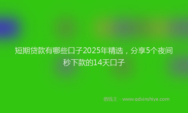 短期贷款有哪些口子2025年精选，分享5个夜间秒下款的14天口子