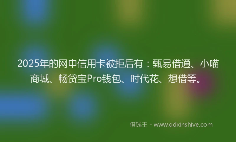 2025年的网申信用卡被拒后有：甄易借通、小喵商城、畅贷宝Pro钱包、时代花、想借等。