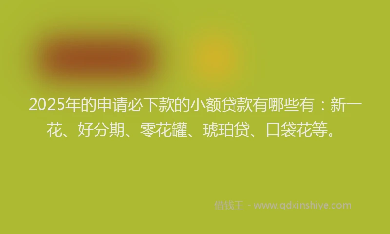 2025年的申请必下款的小额贷款有哪些有：新一花、好分期、零花罐、琥珀贷、口袋花等。