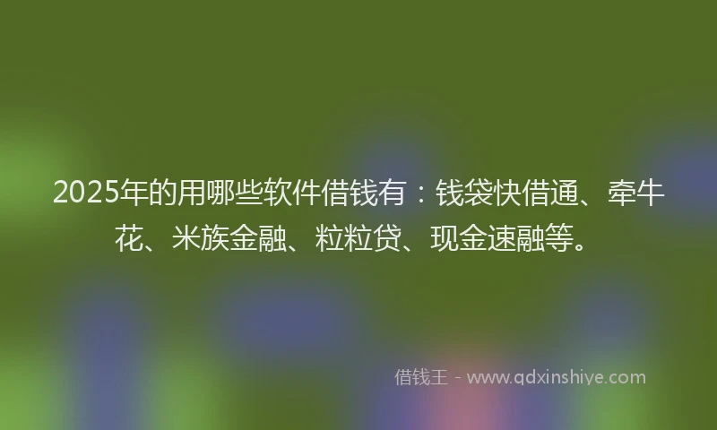 2025年的用哪些软件借钱有：钱袋快借通、牵牛花、米族金融、粒粒贷、现金速融等。