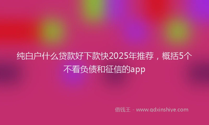 纯白户什么贷款好下款快2025年推荐，概括5个不看负债和征信的app