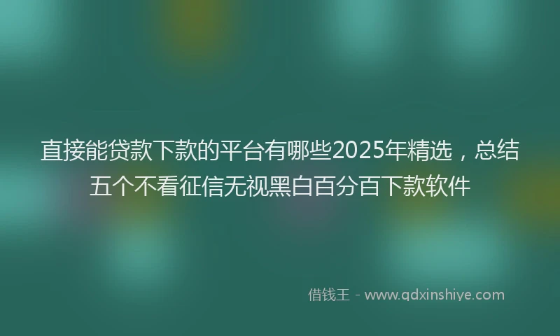 直接能贷款下款的平台有哪些2025年精选，总结五个不看征信无视黑白百分百下款软件