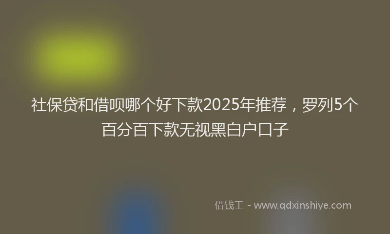 社保贷和借呗哪个好下款2025年推荐，罗列5个百分百下款无视黑白户口子