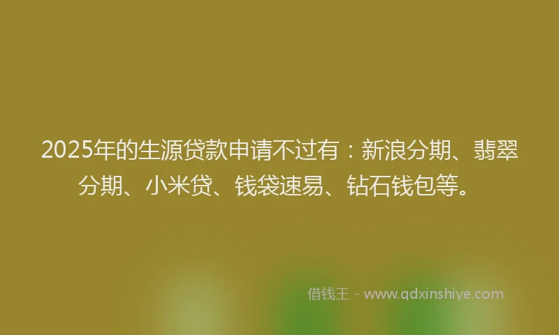 2025年的生源贷款申请不过有：新浪分期、翡翠分期、小米贷、钱袋速易、钻石钱包等。